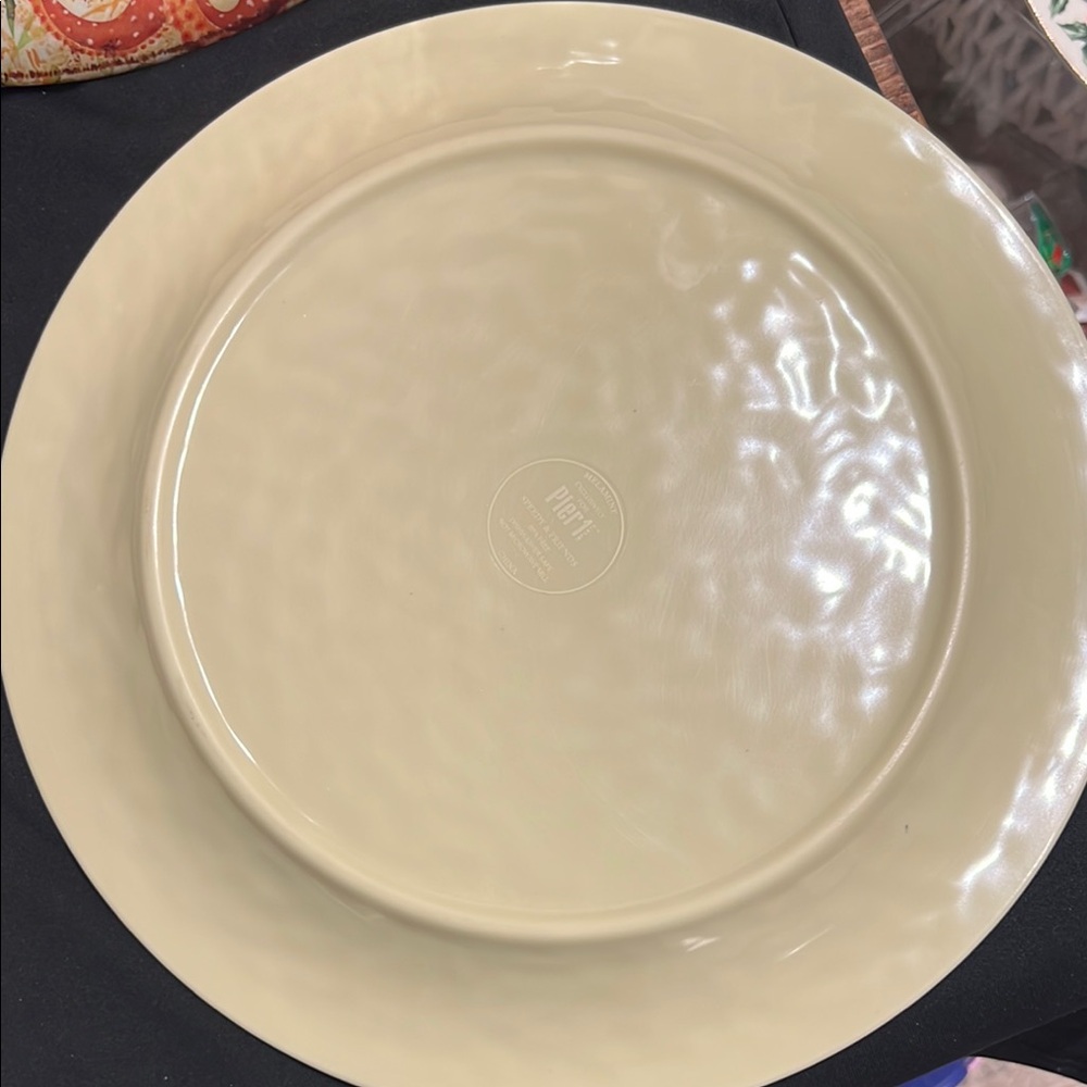 Pier 1 SPEEDY AND FRIENDS Melamine 11" Dinner Plates x 4Turtle Octopus Ray Ocean - Picture 4 of 11